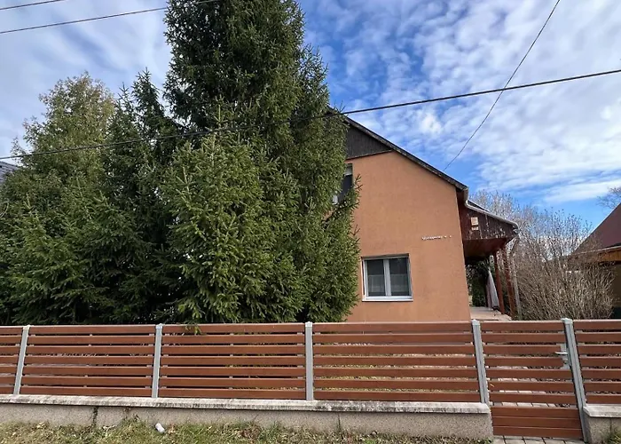 Апартаменты Izabella Vendeghaz